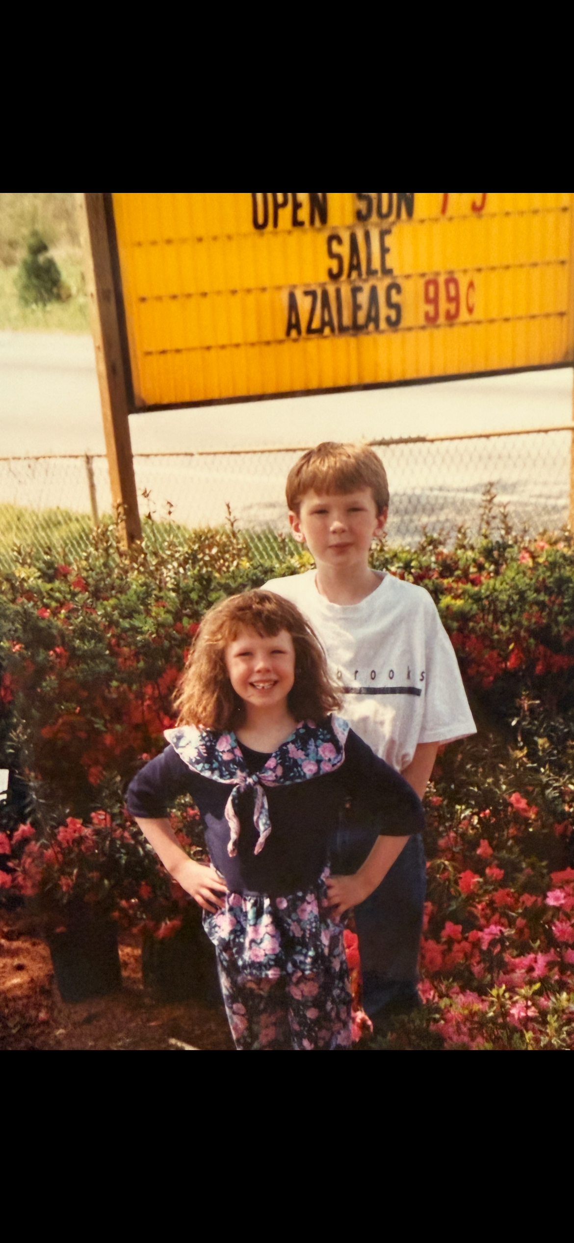 Bannister family nursery history